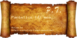 Pantelics Tímea névjegykártya